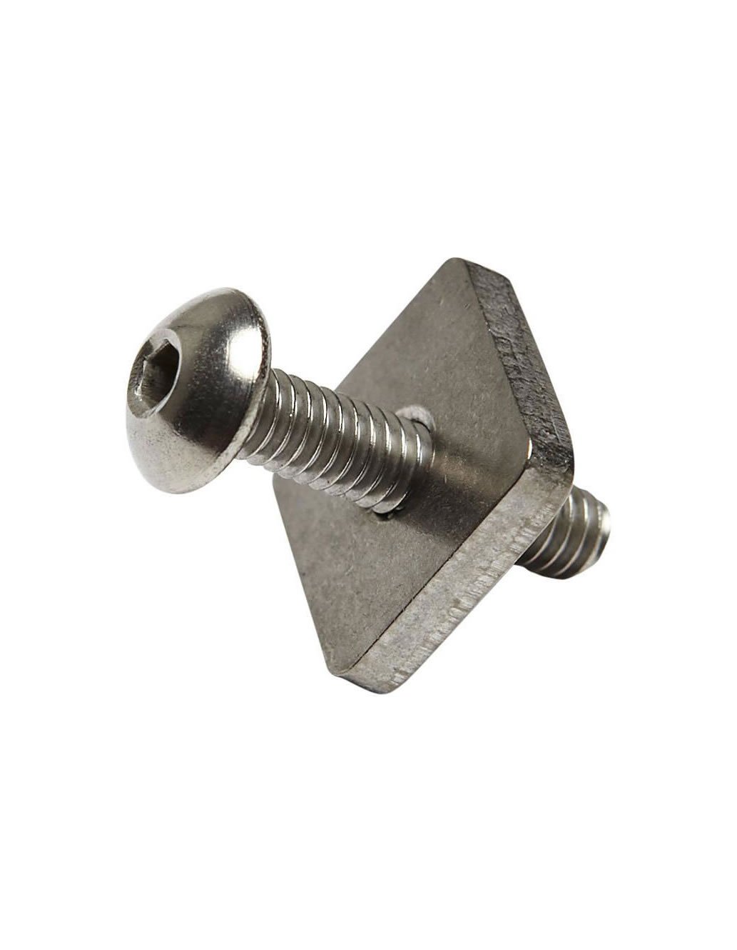 Longboard Hex Screw & Plate