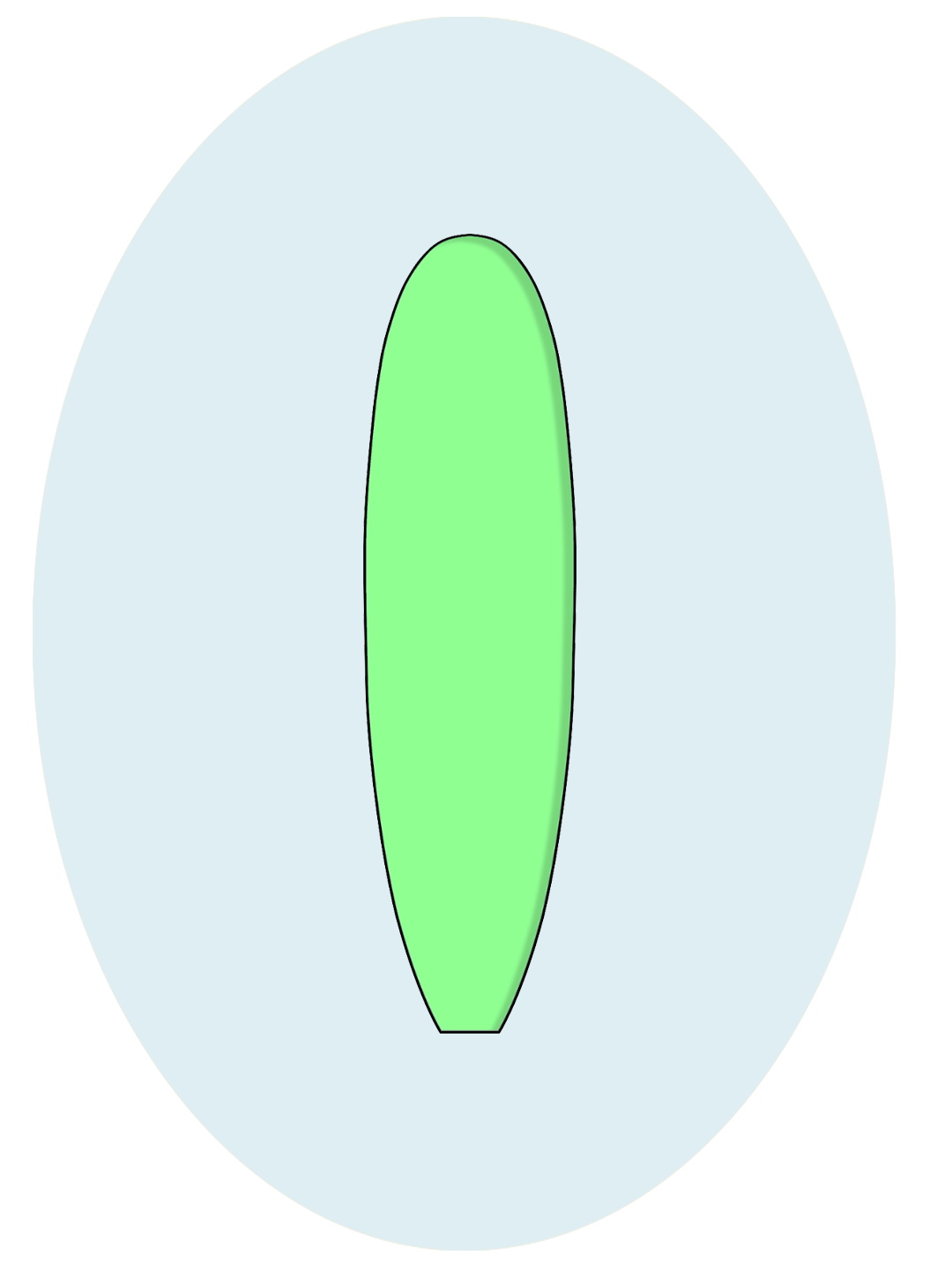 Beginner Surfboards